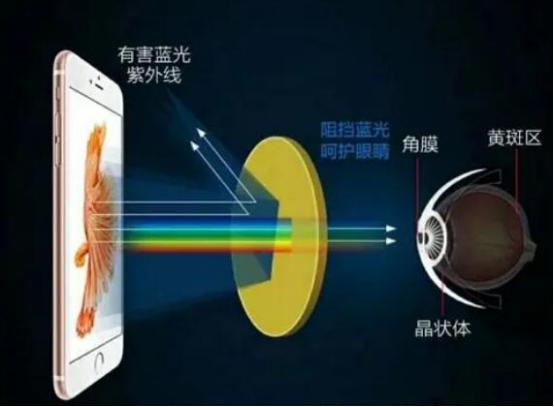 图片12.jpg