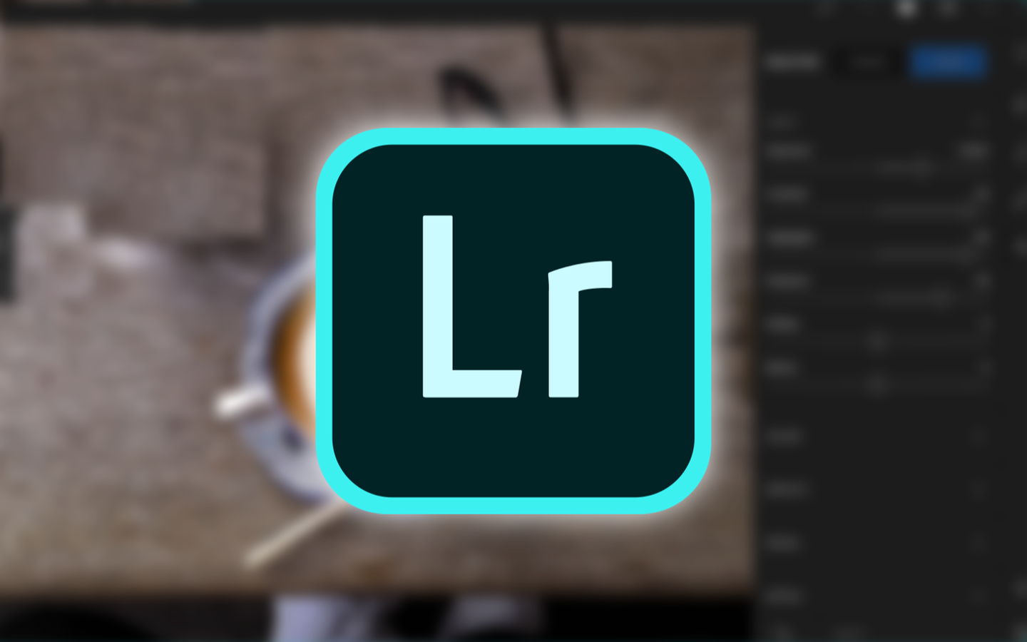 LR 图标